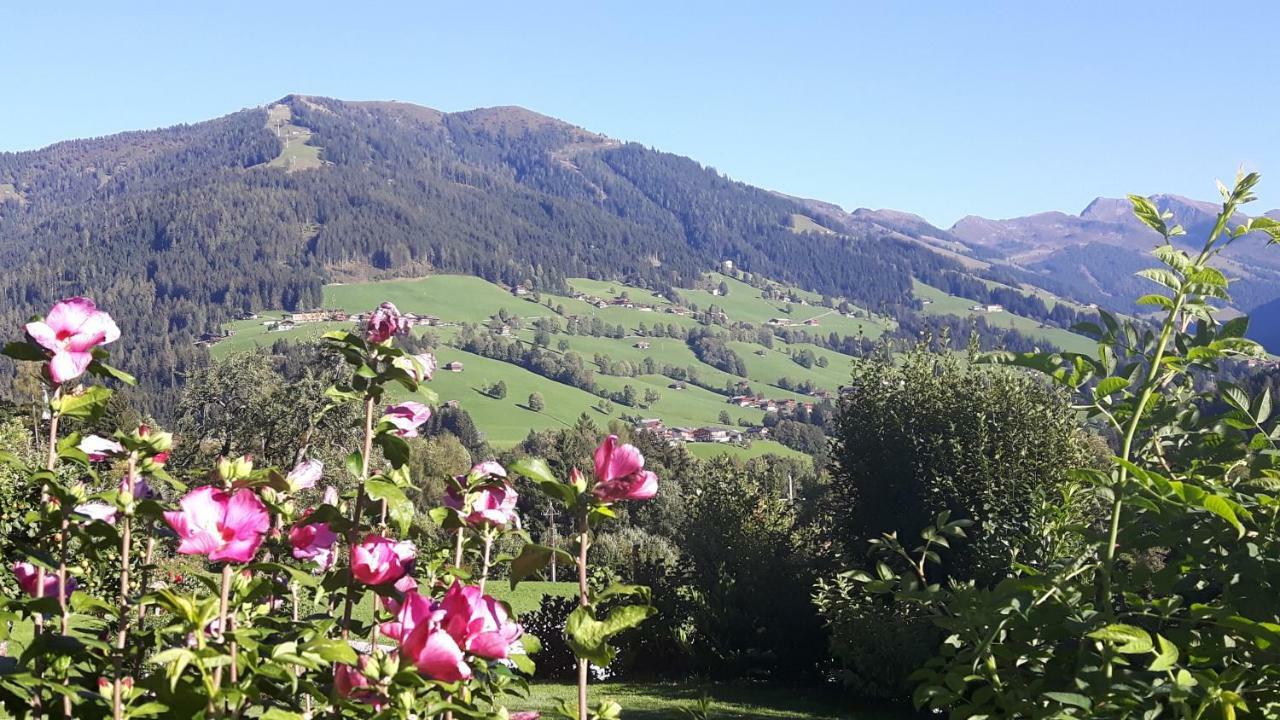 Haus Schmetterling Alpbach Exterior foto